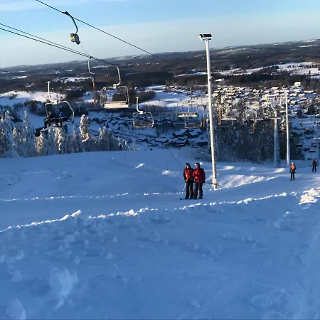 Himoskukkula, 140M2