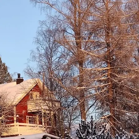 Himoskukkula, 140M2 בקתה Jämsä